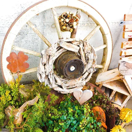 Krotmoos * ראוריס