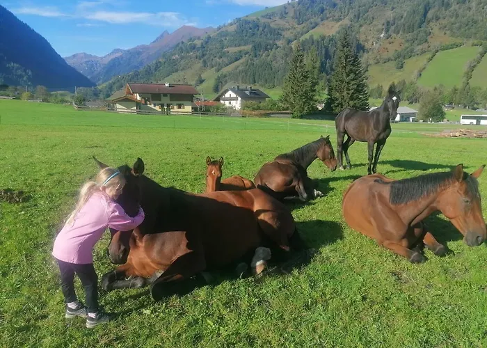 Krotmoos