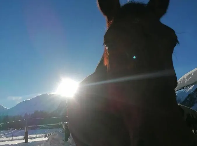 Apartmán Krotmoos *