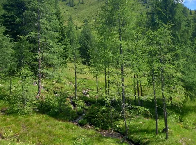 Krotmoos Appartement